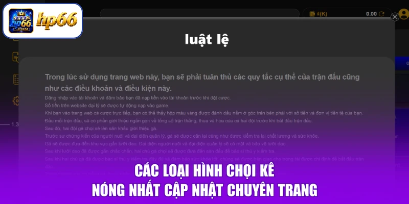 Các loại hình chọi kê nóng nhất cập nhật chuyên trang