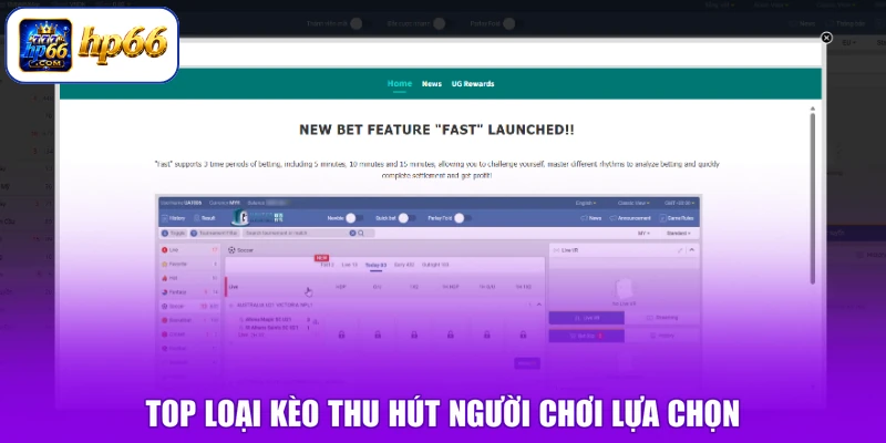 Thể Thao HP66 4 Top loại kèo thu hút người chơi lựa chọn